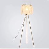 HCYY Stehleuchte Wohnzimmer, Minimalistische Stativ-Stehlampe im nordischen Stil mit Federdekor und Knopfsteuerung Moderne Leselampe für Schlafzimmer, Büro, Heimtextilien (Color : H160CM/?45CM)