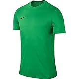 NIKE Herren Kurzarm T-Shirt Trikot Park VI, Grün (Hyper Verde/Black/303), XL
