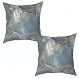 Kissenbezug 2er Set,Die Textur von Kalkstein Kissenbezug 40x40 cm Dekorativ Kissenbezug,Abriebfest Doppelseitiger Druck mit Reißverschluss für Sofa,Auto,Schlafzimmer,Z