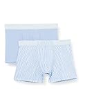 Levi's Mens Men's Vertical Stripe All-Over-Print Briefs (2 Pack) Boxer Shorts, Light Blue, S