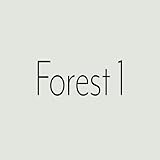Wandfarbe Grün Bavaria Farbwerke München Raumbunt Innenfarbe Dispersionsfarbe Forest 1 10 L