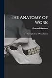 The Anatomy of Work: the Implications of Sp