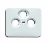 Busch-Jaeger BUSC Zentralscheibe 1743-03-24G alp