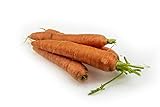 Frische Futtermöhren | Ideal als Futter für Pferde oder Kaninchen (4,5 KG)