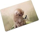 Fußabtreter Fußmatte Personalisiert Türvorleger Weiße Faux Teppiche Für Schlafzimmer wasserdichte rutschfeste Türmatte Badezimmer Küche Reiben Fuß Teppichmatte Ultradünne Katze 45X75C