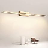 HMAKGG Moderne LED Spiegelleuchte Mit Fernbedienung, Schminklicht Dimmbar, IP44 Wasserdicht Badlampe, Spiegellampe, Bilderleuchte Wandlampe 3000K-6500K,10w/60