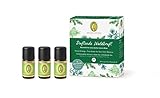 PRIMAVERA ätherische Öle Set Duftende Waldkraft - Geschenkbox 3 x 5 ml Zirbelkiefer, Zeder, Fichtennadel - Aromaöl, Duftöl, Aromatherapie, Geschenke - veg