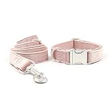 ZZCR Hundehalsband Frisches Prinzessinnenwindpulver Dickes Samthalsband-Traktionsseil-Set Verstellbares Hundehalsband Ist Bequem Weich Und Bequem A M