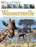 Tag und Nacht - Wasserstelle: Beobachte die Tiere in ihrem Leb