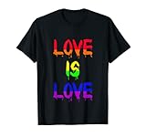 LGBT Love Is Love Schwule Bisexuell Lesben Lesbisch Liebe T-S