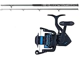 Daiwa Penn Madcat Welscombo 3,00m / 200-400g Wallerrute Welsrolle Komp
