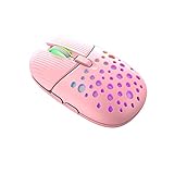 ZIENSTAR-2.4G Kabellose Maus Käfer Wiederaufladbar und Wabenschale mit RGB Hintergrundbeleuchtung (Rosa)