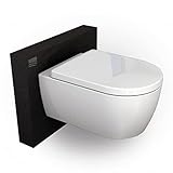 Spülrandloses Wand-WC NT2039 mit SoftClose-Deckel (Absenkautomatik), Toilette aus Sanitärkeramik mit abnehmbareren WC-Sitz, Tiefspül-WC, D-Form – Hänge-WC mit Standard-Deck