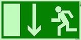 Orig. ANDRIS® Marken-Piktogramm/Symbolschild Fluchtweg/Notausgang/Rettungsweg Symbol nach unten DIN Kunststoffschild lang nachleuchtend 300x150