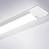 20W 60CM LED Feuchtraumleuchte, bapro LED röhre Deckenleuchte 2000LM Werkstattlampe Leuchte, Kaltesweiß 6500K Kellerlampe, LED Leuchtstoffröhre für Garage, Keller, Werkstatt, W