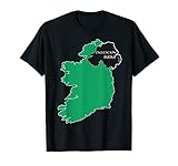 One Irland Shirt, Partition Sucks Shirt, Irish Heritage T-S