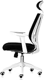 GAOLILI Bürostuhl mit Armlehne Bürostuhl Mesh High Back Swivel Multifunktionsstuhl Justierbare Kopfstütze Neigungsschloss Komfortables und atmungsaktives Heben Handlauf (Color : White)