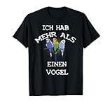 Wellensittiche Sittich Vogel Nymphensittich S