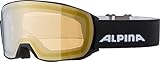 ALPINA Unisex - Erwachsene, NAKISKA Q-LITE Skibrille, black, O