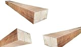 Holzpfosten aus Eichenholz - Kantholz Eichen Pfosten Holz Pfahl (8x8 x 50 cm)