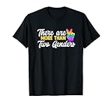 Es gibt mehr als 2 Genders LGBTQ T-S