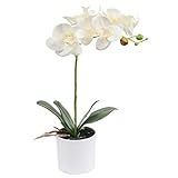 SHACOS Kunstpflanzen Künstliche Orchideen Deko Kunstblumen Orchidee im Topf Real Touch Kunstpflanze Orchidee Weiß Höhe: ca. 38