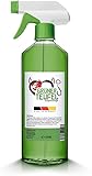 Grüner Teufel Enzymreiniger 1x 500 ml, Teppichreiniger, Küchenreiniger - Polsterreiniger – Allzweckreiniger | Ideal für Sofa, Auto, Sitze,