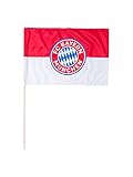 FC Bayern München Fahne Logo 60x40 cm (mit Stock)