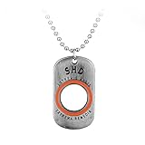 Tom Clancy's The Division SHD Logo Halskette Dog Tag Anhänger abgerundete Hohlräume Coole Halsk