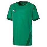PUMA Unisex Kinder, teamGOAL 23 Jersey jr Trikot, Pepper Green-Power Green, 164
