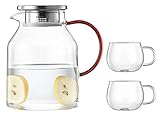 1.6L Glasteekanne mit abnehmbarem Infuser, Herdsicherer Teekessel, High Borosilicatglas, Blooming und Loose Leaf Tea Maker S