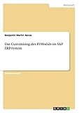 Das Customizing des FI-Moduls im SAP ERP-Sy