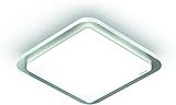 Steinel LED Deckenleuchte RS LED D2 S Edelstahl, 8.8 W Deckenlampe, 360° Bewegungsmelder, Nachtlicht, D