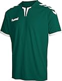 Hummel Herren Core Poly T shirt, Evergreen Pr, XL EU