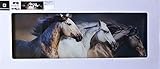 Eurographics DG-DC6085 Deco Glass 30 x 80 cm Gallop in D