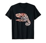 Eidechse Haustier Reptilien Chamäleon T-S