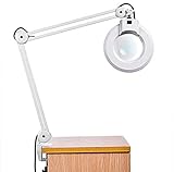 8X Kosmetiklampe Lupenleuchte,LED Lampe Stehen Schönheit Kosmetik Make-up Magnifying Beleuchtete Lupe Licht Schreibtisch Klemme zum Schönheit Salon Tätowierung Gesichts L