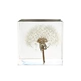 VOSAREA Kristallglaswürfel des Löwenzahns 3D Transparente Tischplattenstatuenverzierung für Geburtstagshochzeits-Valentinsgrußgeschenk-Ausgangsdek