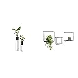 LIFA LIVING Pflanzenständer Set aus schwarzem Metall, Flur & 3er Set Wandregal im Industrie Design, Schweberegal schwarz Metall, 22 x 12 x 22 cm 27 x 12 x 27 cm 32 x 12 x 32