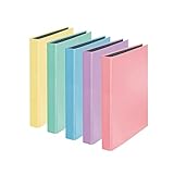 Original Falken 10er Pack PastellColor Ringbuch. Made in Germany. 2-D-Ring-Mechanik DIN A4 Füllhöhe 25 mm farbig sortiert Kalender Organizer Ring-Ordner Hefter ideal für Büro und S