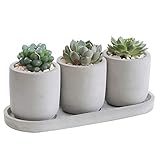 Pflanzgefäß Blumentopf - 3er Pack Zementgrauer Blumentopf Industrieller Schwerer Tank, 9,8' Kaktusbehälter Sukkulenten Vase mit Tablettboden, Korb dekorativ für Indoor Outdoor Garten Bü