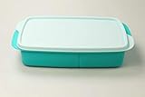 Tupperware Clevere Pause to Go Lunchbox 1L helltürkis mit Trennwand Schule 36770