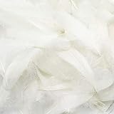 Reastar DIY Weiß Federn, 120 Stück Naturfedern, Ideal als Dekoration Zum Karnival für Halloween Fest Masken, Kostüme und Basteln für Kinder, Sicher und Ungiftig und Nicht verb