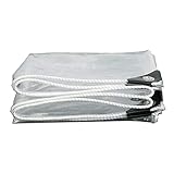 LIANGJUN Transparent Wasserdicht Plane, Anlage Isolierung PVC Regendicht Abdeckung Mit Verstärkt Ösen， Winddicht Plane Blatt Zum Angeln Grill, Benutzerdefiniert Größe (Farbe : Klar, Größe : 4mx5m)
