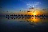 VLIES Fototapete-LANDSCHAFT-(PF6564)-400x260 cm-Tiere Orient Kamele Wüste See Panorama Nacht Natur Sonnenuntergang Dekor XXL Wandbild Poster Moderne Tap
