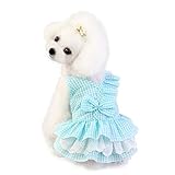 hnsgscmyyxgs Haustier-Hundekleid Prinzessin Puppy Cat Dress Haustier-Kostüm Hundekleid für kleine mittelgroße Hunde (Color : Blue, Size : Large)