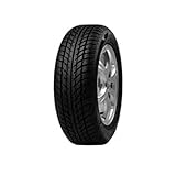 Goodride SW608 (205/60 R16 92H)