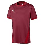 PUMA Unisex Kinder, teamGOAL 23 Jersey jr Trikot, Cordovan-Chili Pepper, 164