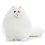 Winsterch Stofftier Katze Tier Spielzeug Weich Plüsch Katze Teddy für Kinder Geburtstag Geschenke (30cm, Weiß) EINWEG