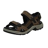 ECCO Herren Offroad Sandalen, Espresso/Cocoa Brown/Black, 44 EU